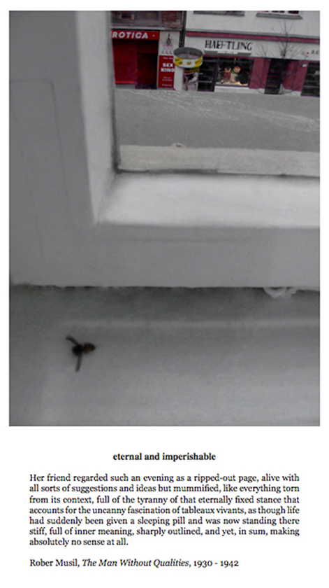 e.tsantila-roomwithaview-016