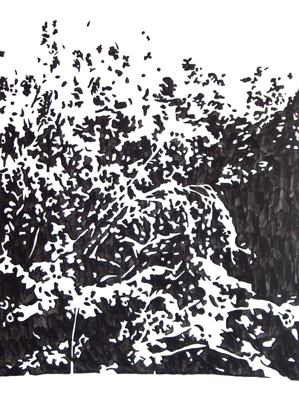 e.tsantila-derball-006