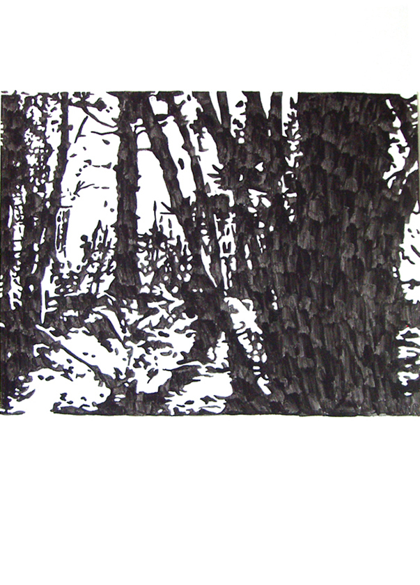 e.tsantila-derball-008