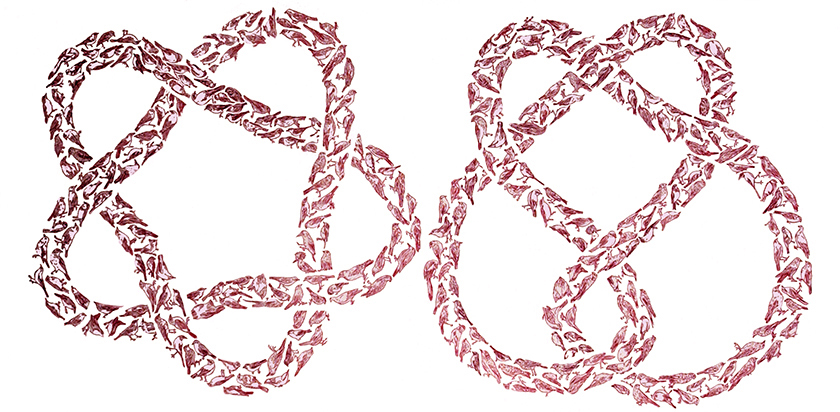 e.tsantila-thebirds-001