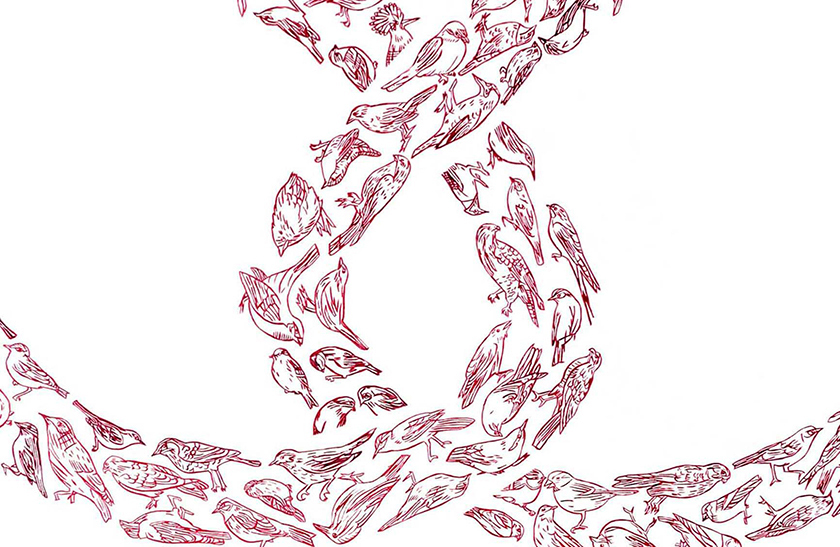 e.tsantila-thebirds-003