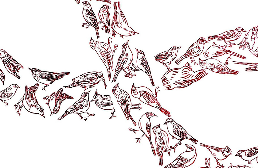 e.tsantila-thebirds-004