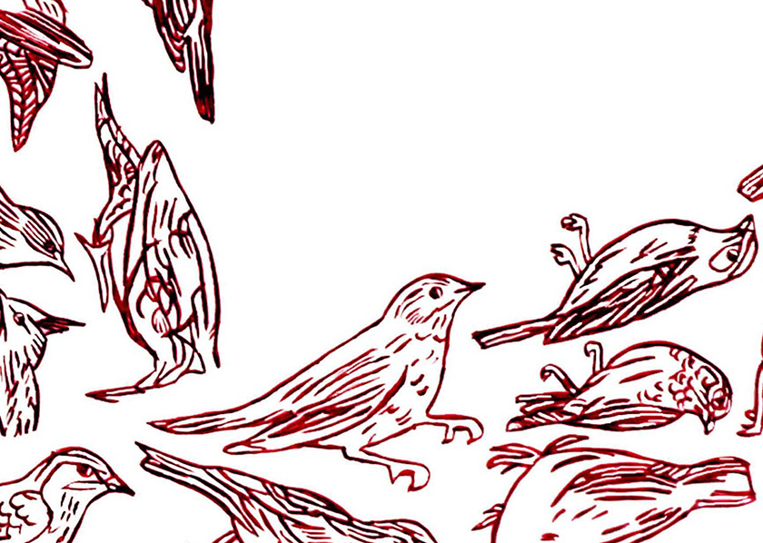 e.tsantila-thebirds-005