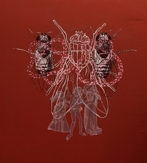 e.tsantila-crimeandpunishment-009