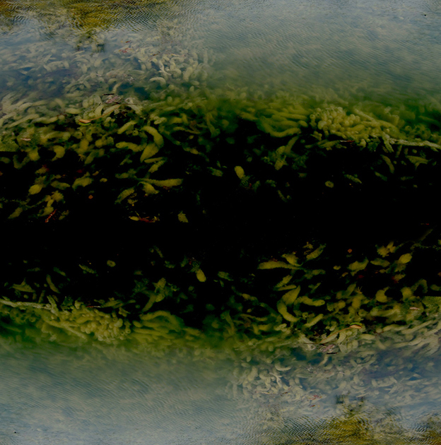 003-e.tsantila-9attemptstotypethesouth