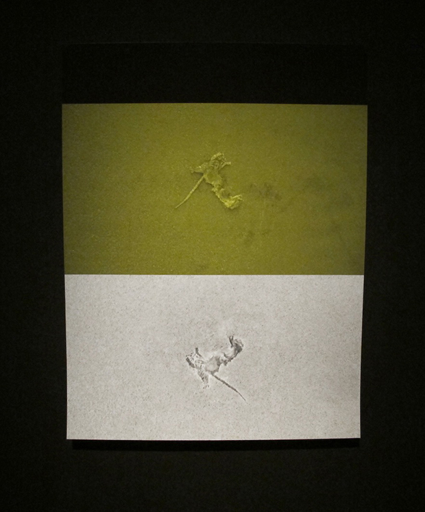 e.tsantila-thewritteneye-007