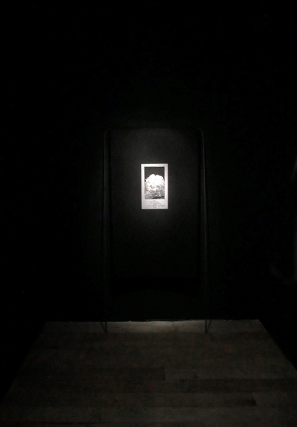 e.tsantila-thewritteneye-008