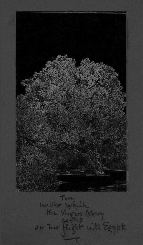 e.tsantila-thewritteneye-009